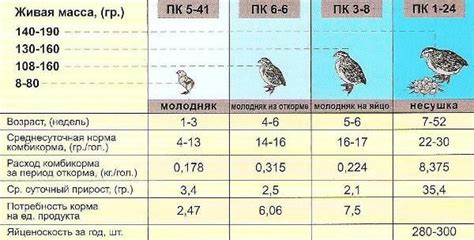 Энергетические потребности перепелов в зависимости от возраста