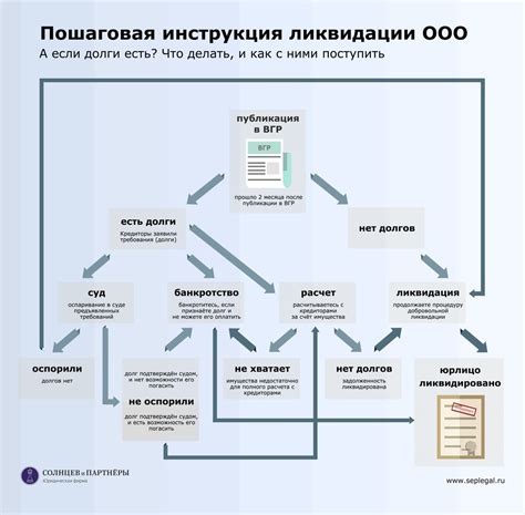 Этапы ликвидации ООО с участием адвоката