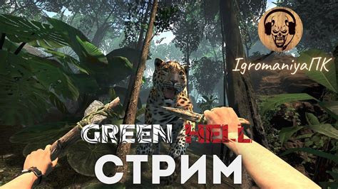 Этапы приготовления аяуаски в игре Green Hell