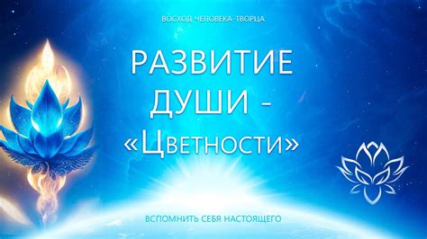 Этапы развития души в православии