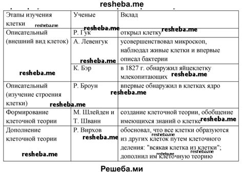 Этапы создания этажерки