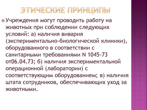 Этические аспекты и обсуждение практики хоронения животных на кладбищах