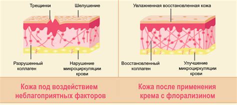 Эффективность крема "Зорька" у людей