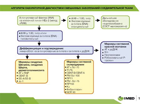 Эффективные методы диагностики аутоиммунных заболеваний