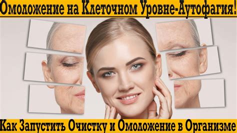 Эффективные методы очистки организма на клеточном уровне