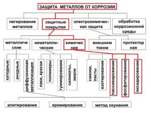 Эффективные методы предотвращения моли вещества