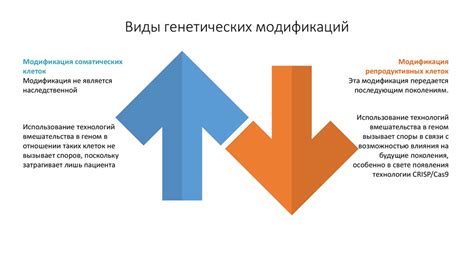 Юридическая сторона вопроса: допустимость в современном обществе