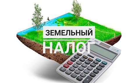 Юридическим лицам: как и когда платить земельный налог в 2023 году