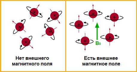 Ядерный резонанс: принципы и техники