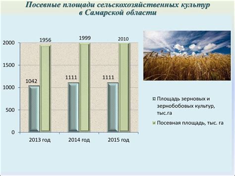  Взаимосвязь сельскохозяйственных культур 