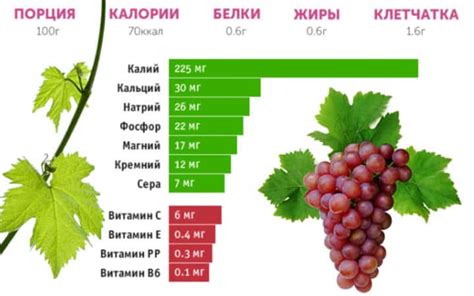  Виноград на пп: калорийность и химический состав 