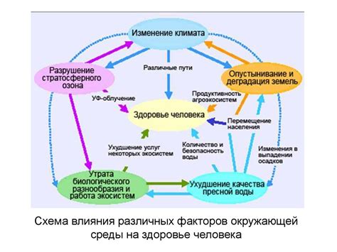  Влияние срединного расположения на здоровье 