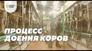  Влияние стельности на процесс доения 