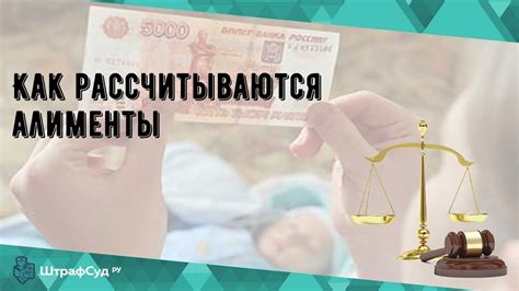  Возможно ли создать завещание задним числом? 