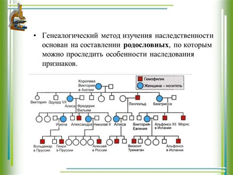  Генетическое наследование 