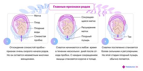  Как понять, что начались схватки без пробки 