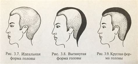  Начертание формы головы 