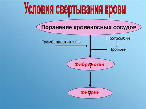  Остальные компоненты 