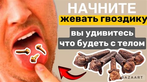  Потенциальный вред жевания гвоздики 