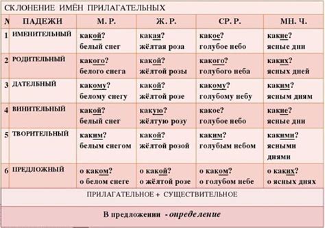  Примеры склонения прилагательных во множественном числе 