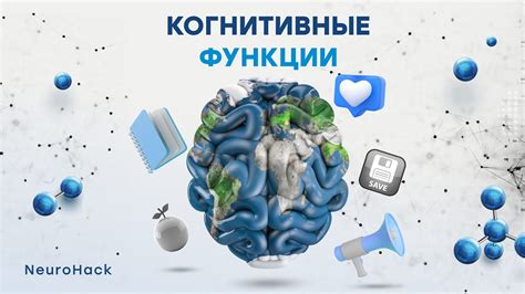  Психологические аспекты жевания и их влияние на когнитивные функции 