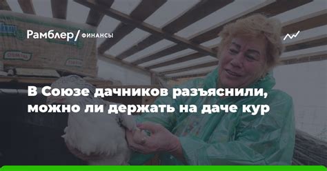  Разрешено ли держать улей на даче? 