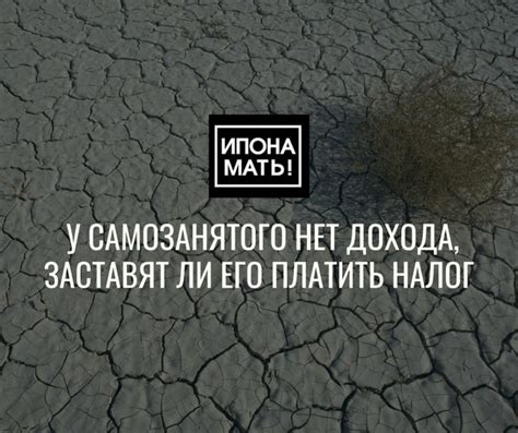  Самозанятый: платить или не платить? 