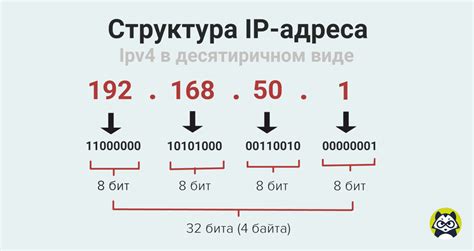 IP-адрес: что это такое?