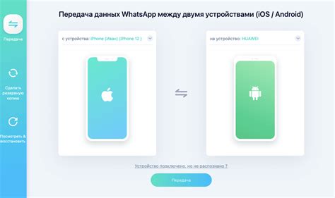 iPhone Transfer: удобный способ перемещения сообщений